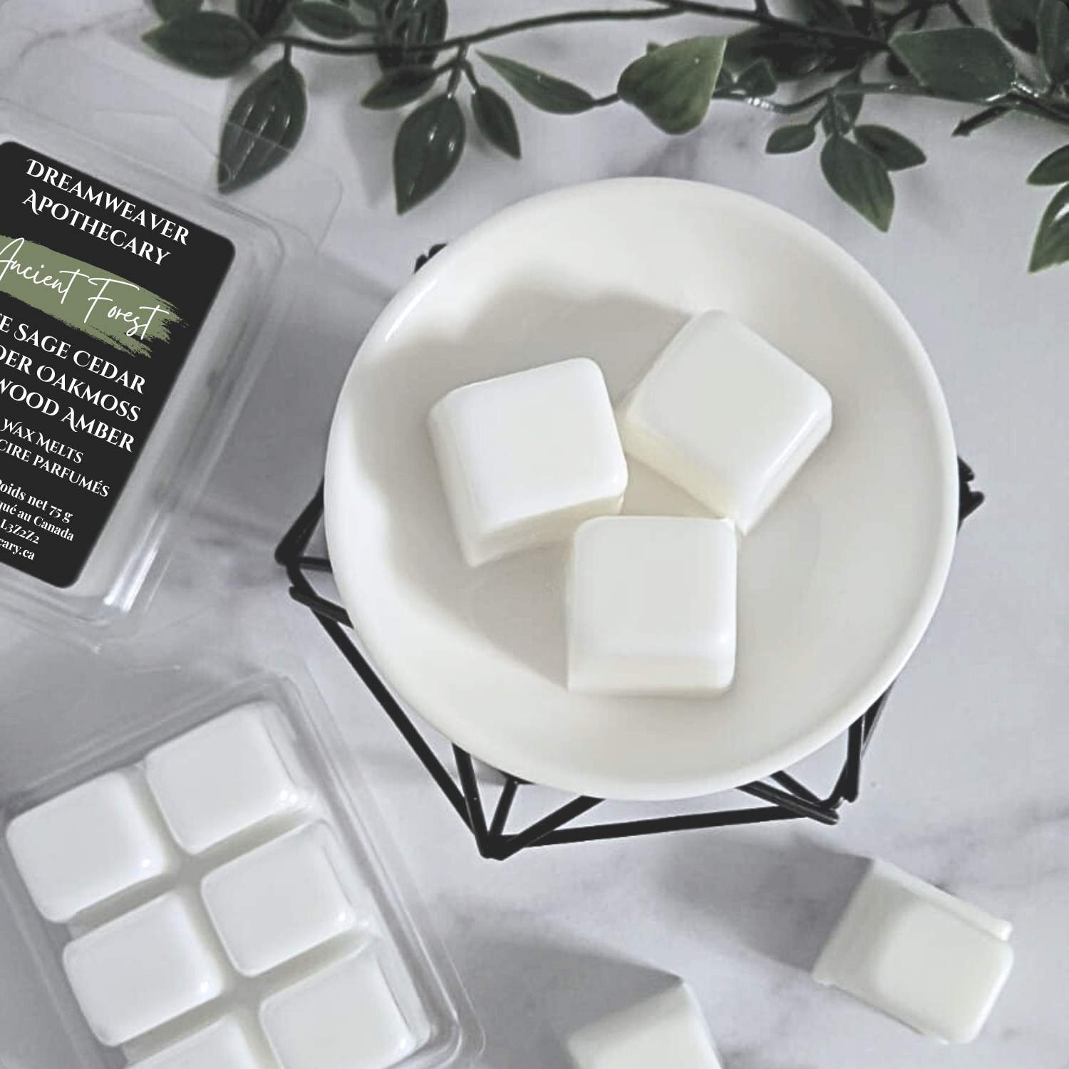 Ancient Forest Scented Wax Melt