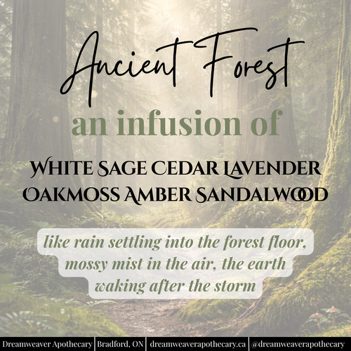 Ancient Forest Scented Wax Melt