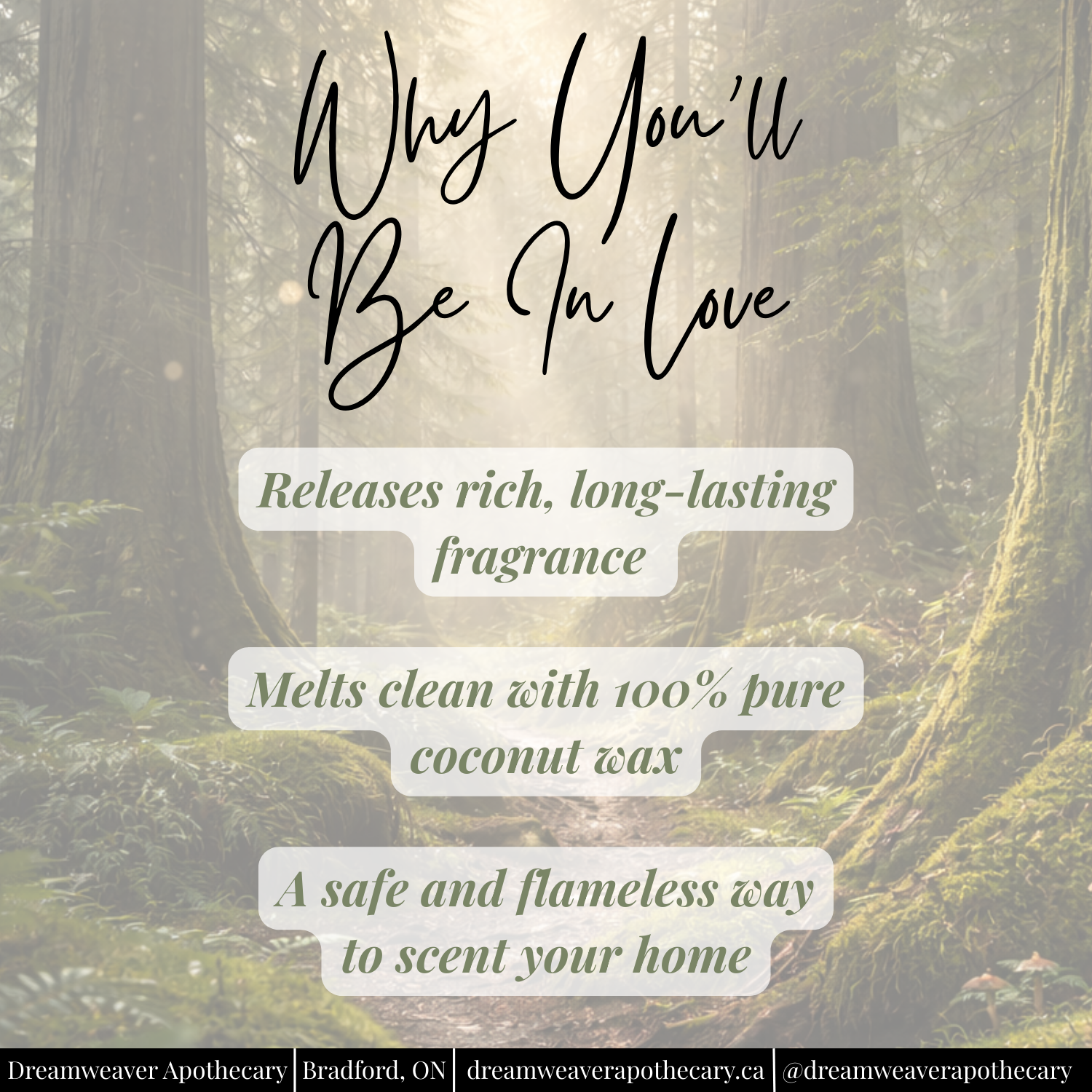 Ancient Forest Scented Wax Melt
