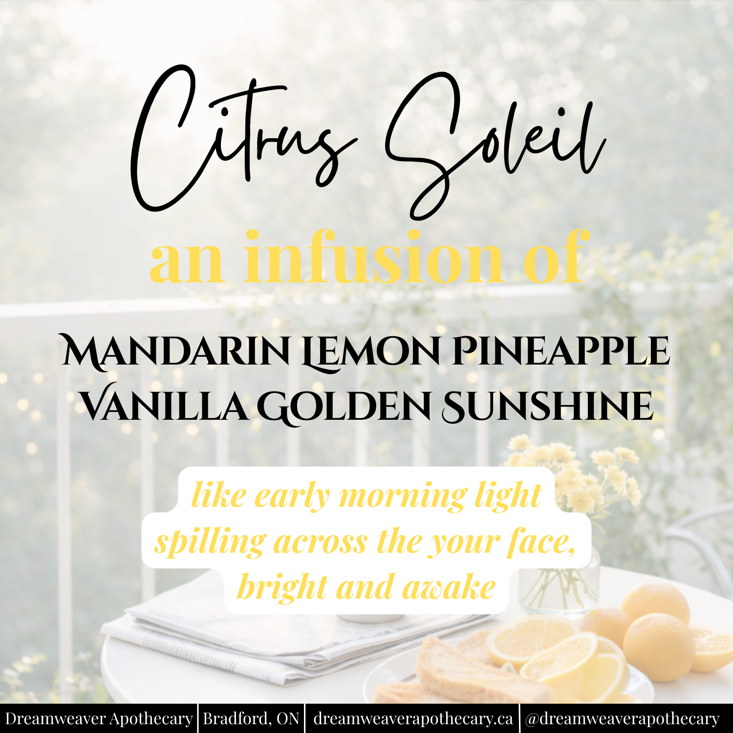 Citrus Soleil Scented Wax Melt