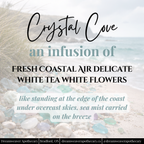 Crystal Cove Scented Wax Melt