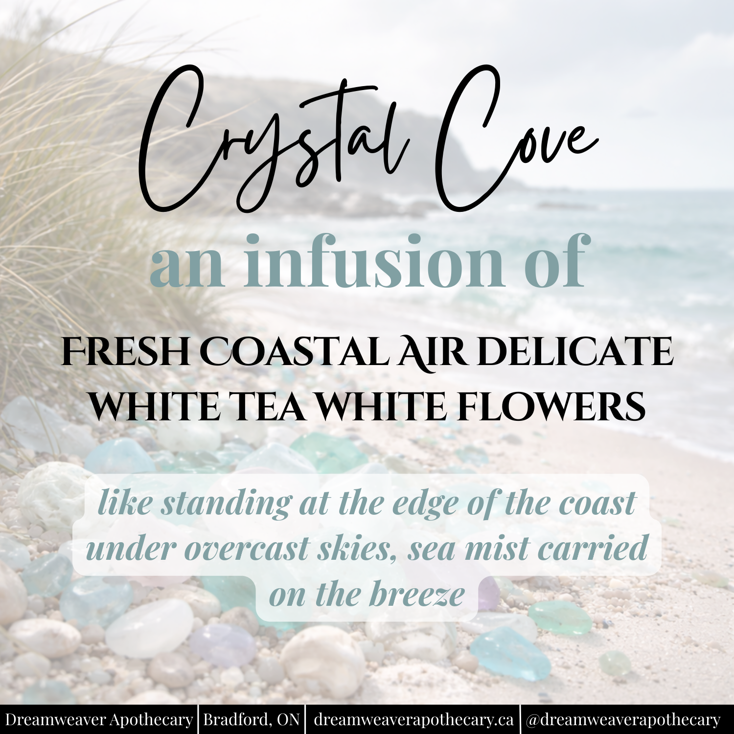 Crystal Cove Scented Wax Melt