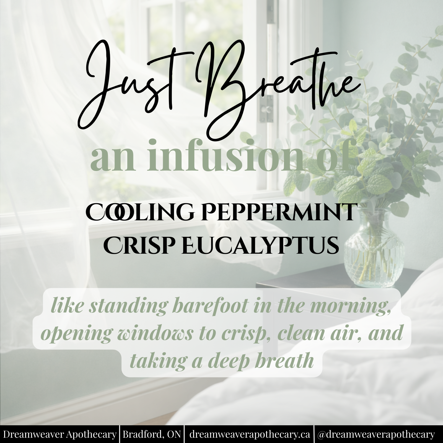 Just Breathe Car Diffuser