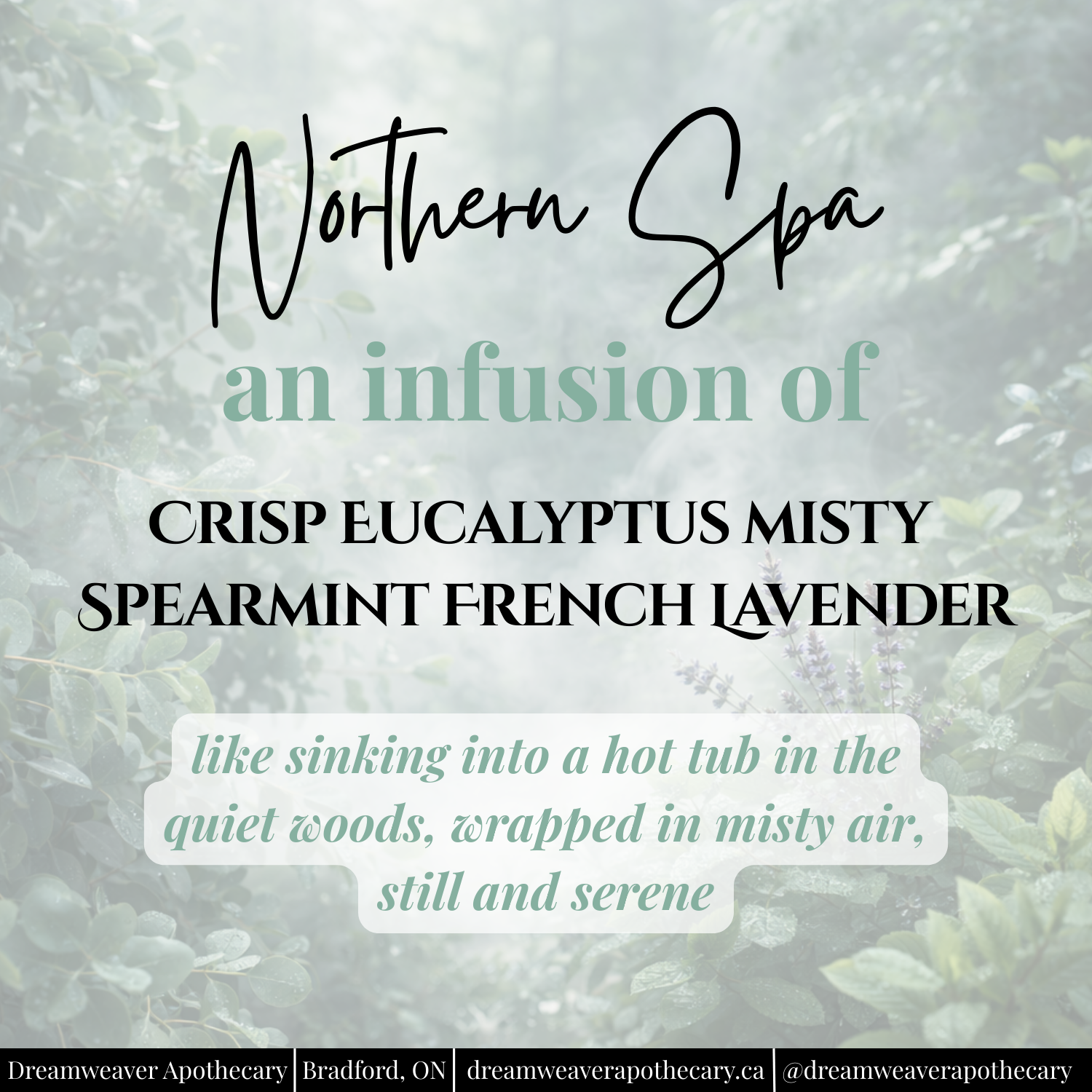 Northern Spa Scented Wax Melt