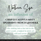 Northern Spa Mineral Bath Soak