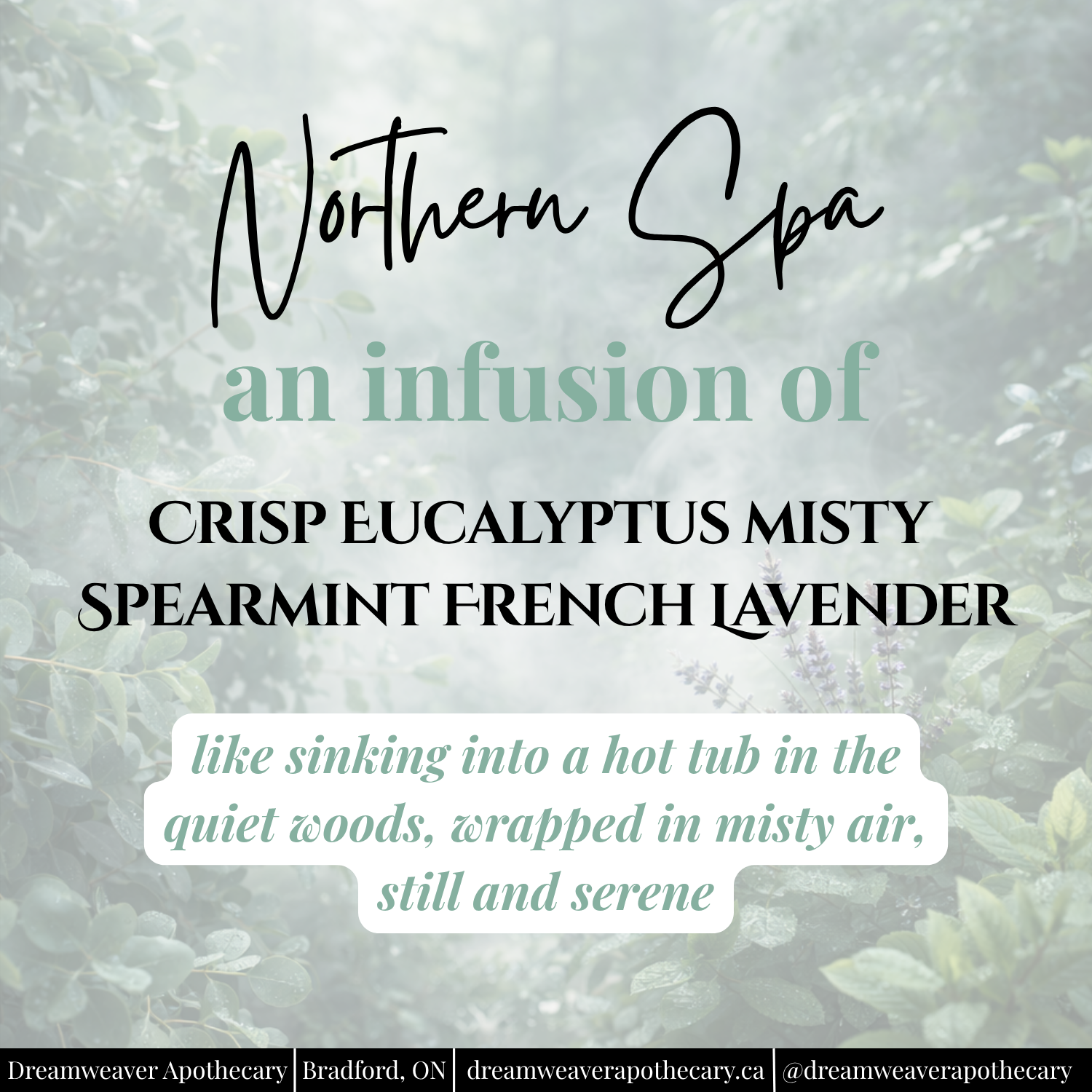 Northern Spa Mineral Bath Soak