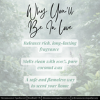 Northern Spa Scented Wax Melt