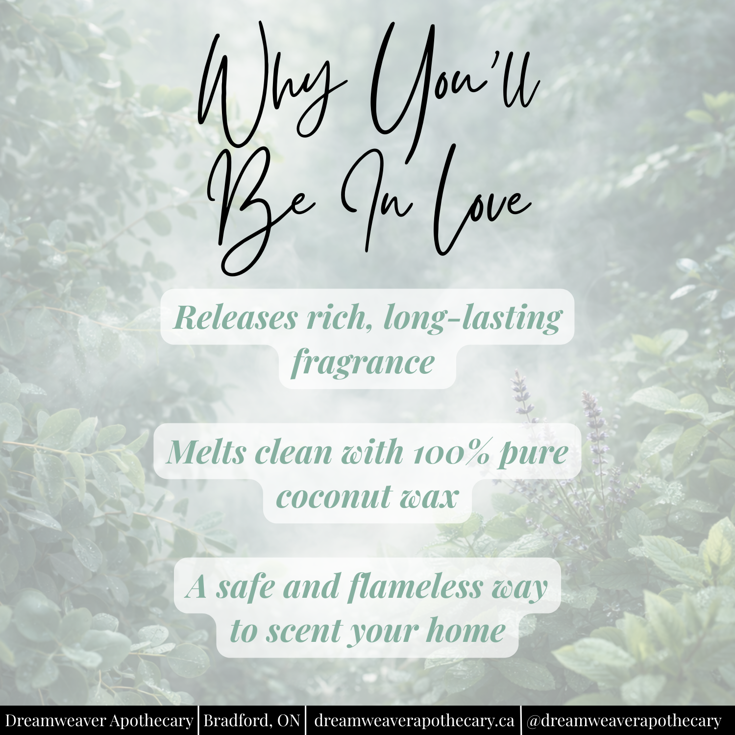 Northern Spa Scented Wax Melt