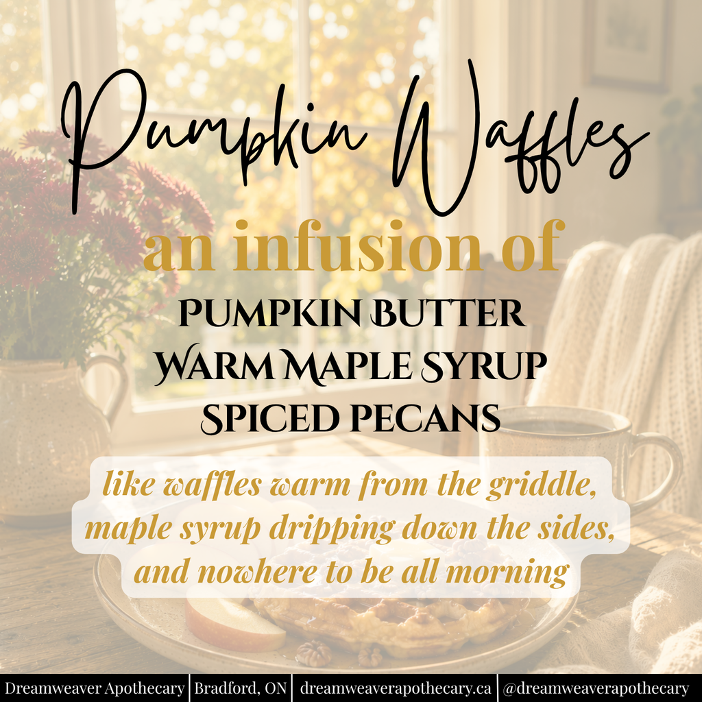 Pumpkin Waffles Creamy Body Butter