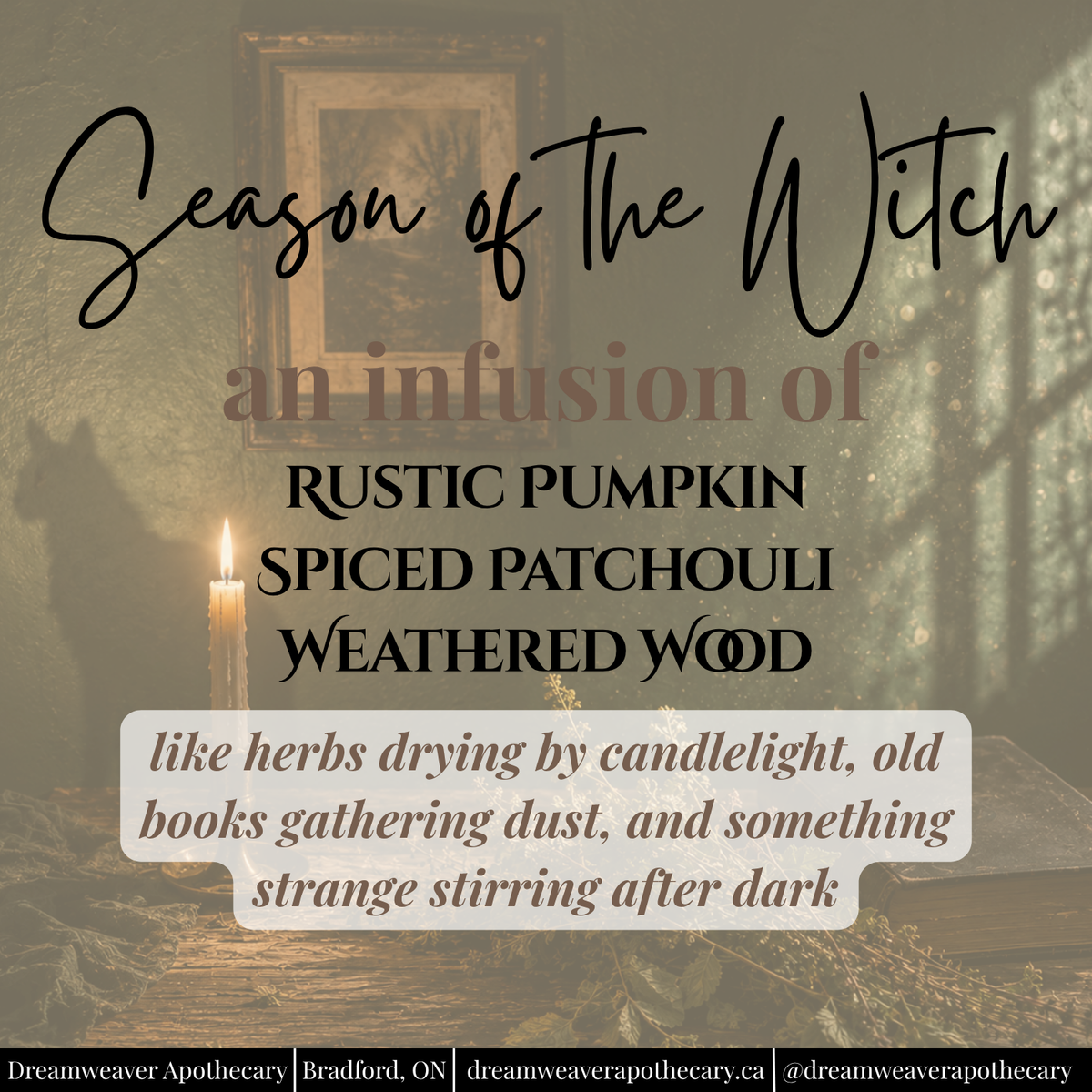 Season of the Witch Scented Wax Melt