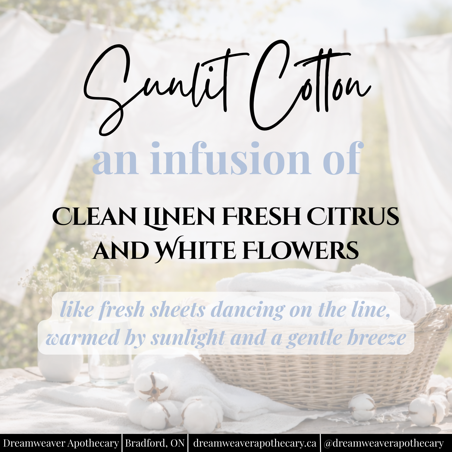 Sunlit Cotton Scented Wax Melt