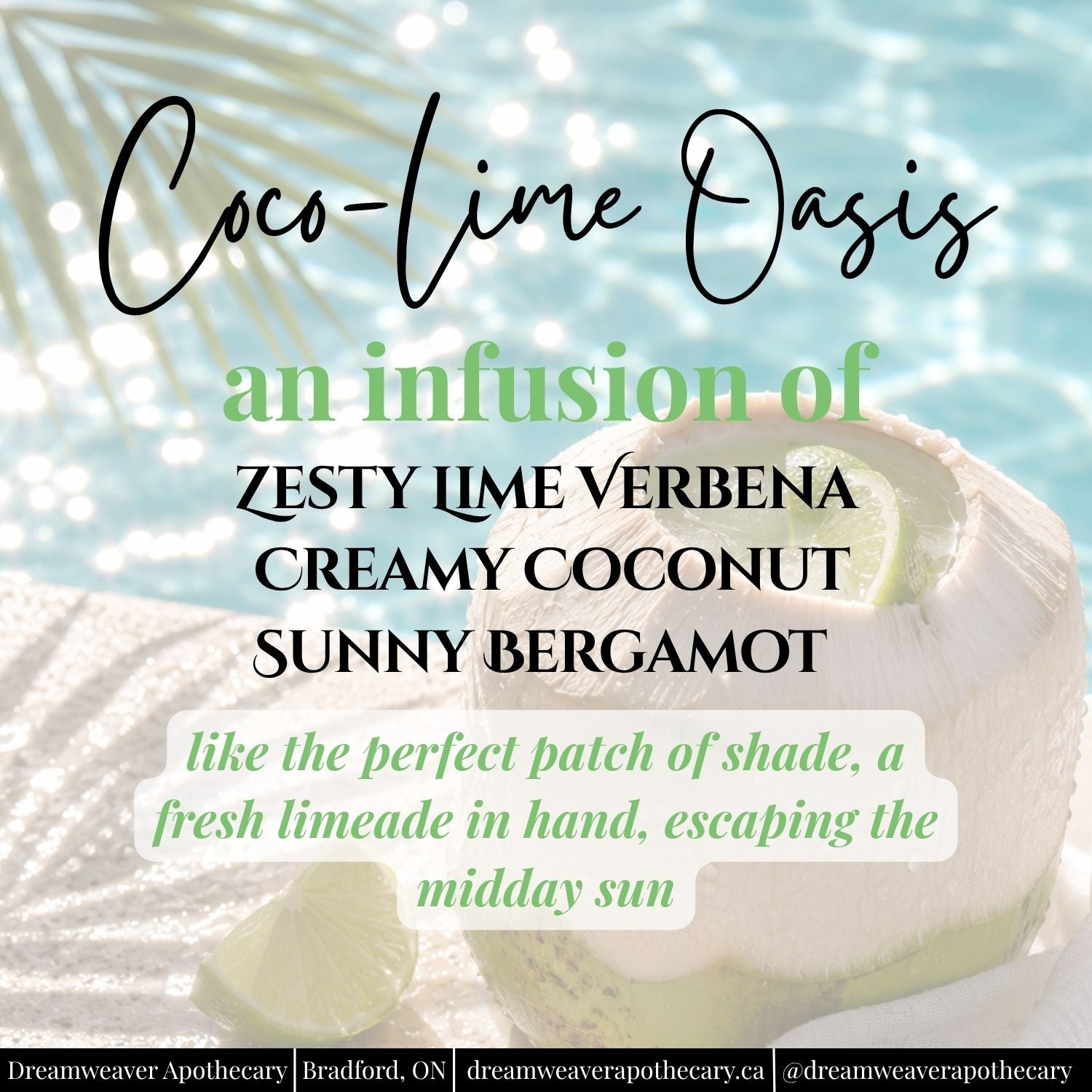 Coco-Lime Oasis Creamy Body Butter