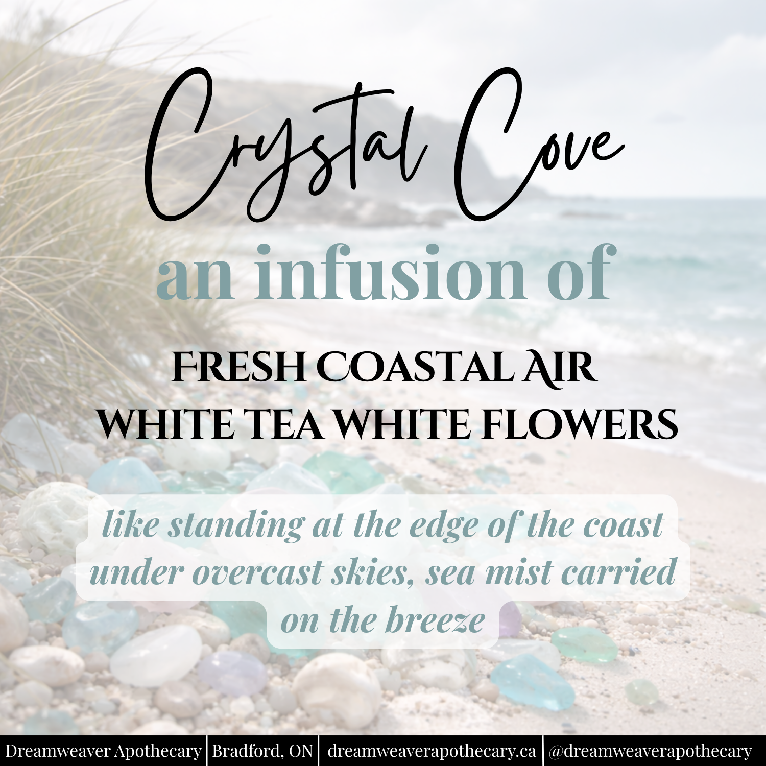 Crystal Coast Mineral Bath Soak