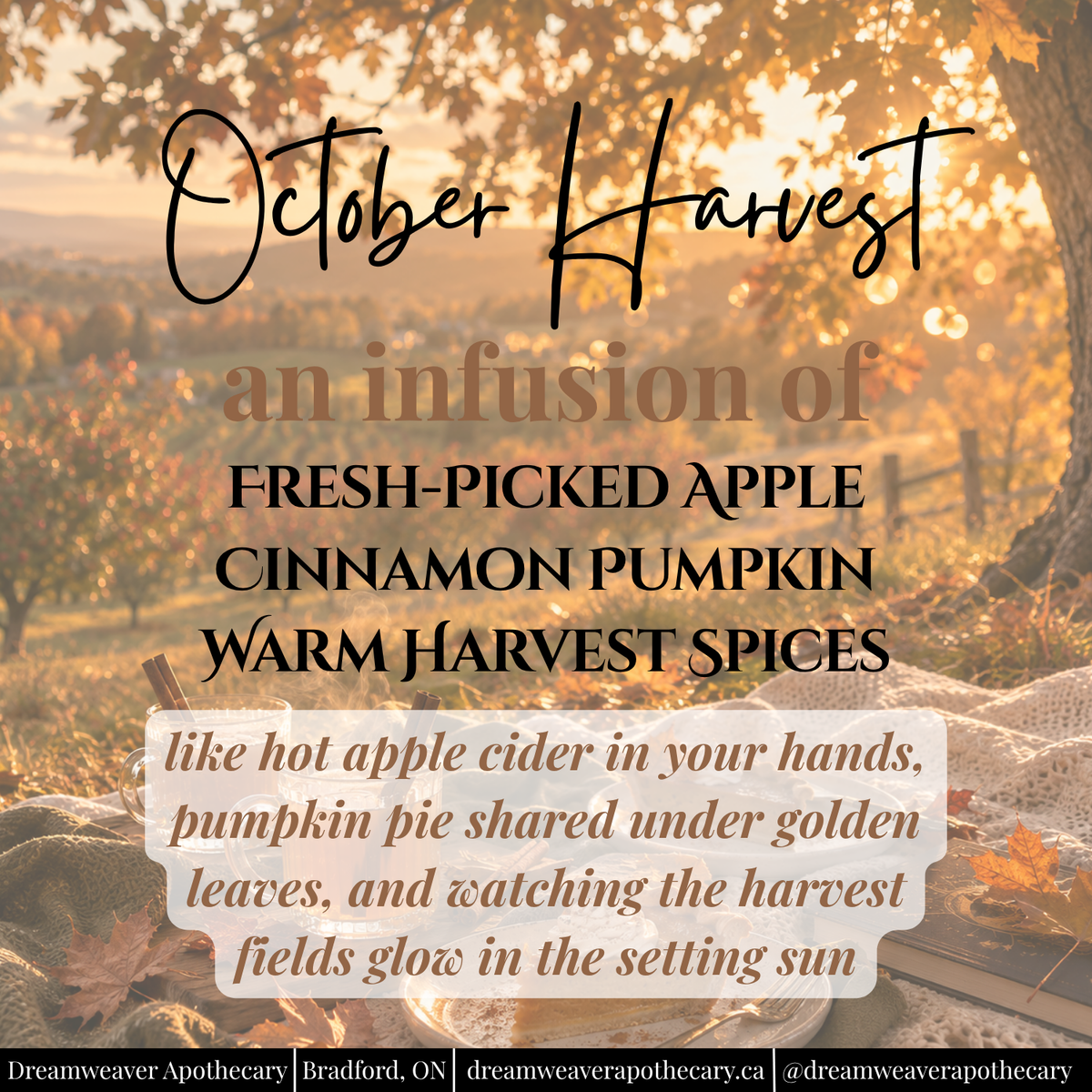 October Harvest Scented Wax Melt