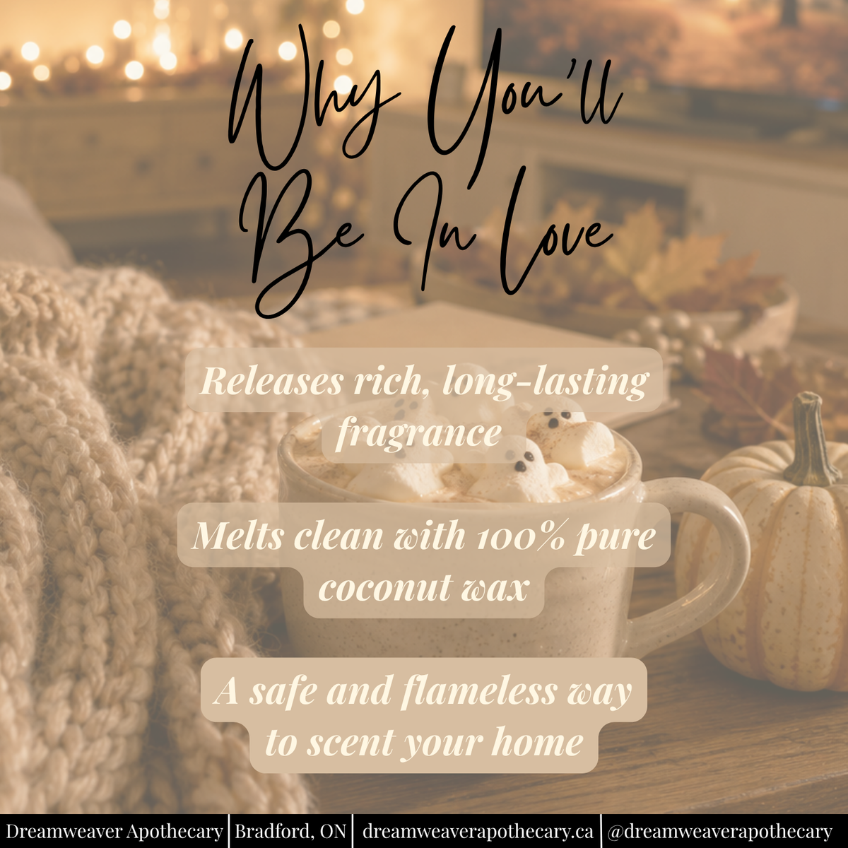 Pumpkin Vanilla Scented Wax Melt