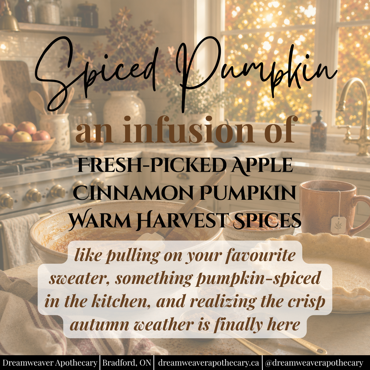 Spiced Pumpkin Scented Wax Melt