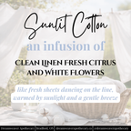 Sunlit Cotton Car Diffuser